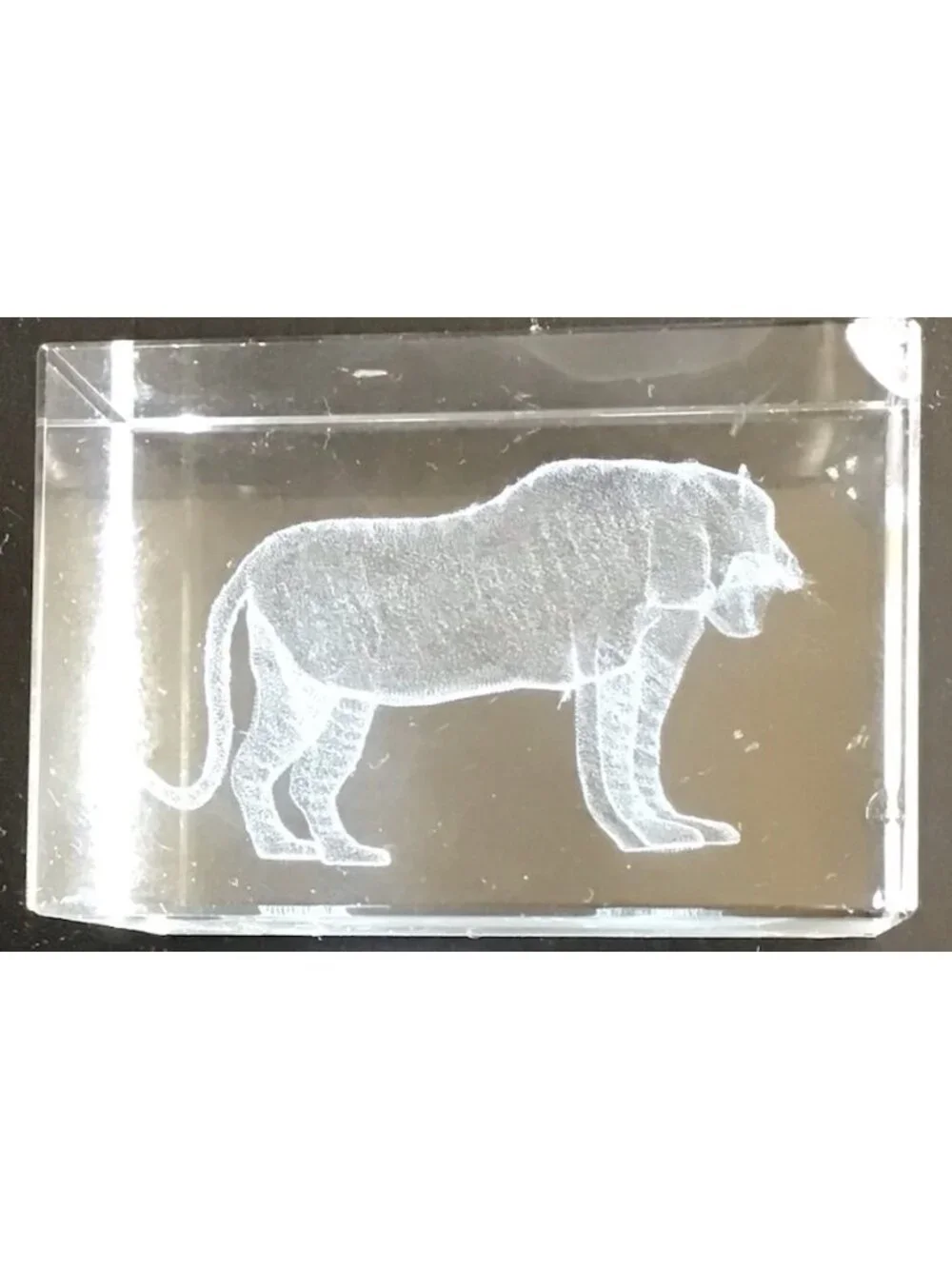 Laser 3d Etched Glass Crystal Panther/Lion Paper Weight  2 3/8” x 1 1/2”